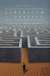 Labyrinth To Destiny