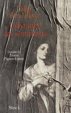 Bertrand.pt - Labyrinthe Des Sentiments