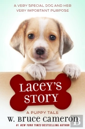 Lacey'S Story