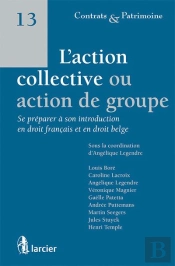 L'Action Collective Ou Action De Groupe : Se Préparer À Son Introduction En Droit Français Et En Droit Belge