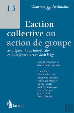 Bertrand.pt - L'Action Collective Ou Action De Groupe : Se Préparer À Son Introduction En Droit Français Et En Droit Belge