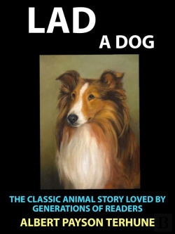 Bertrand.pt - Lad A Dog