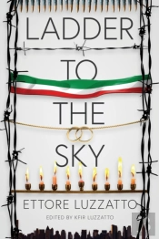 Ladder To The Sky