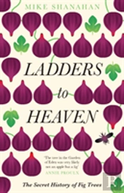 Ladders To Heaven