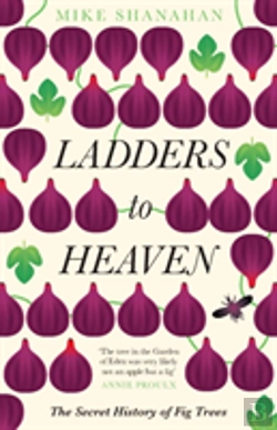 Bertrand.pt - Ladders To Heaven