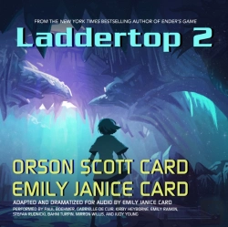Bertrand.pt - Laddertop 2