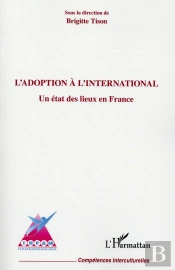 L'Adoption À L'International ; Un État Des Lieux En France