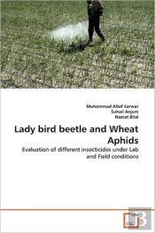 Lady Bird Beetle And Wheat Aphids