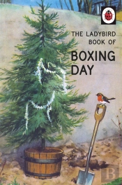 Ladybird Book Of Boxing Day