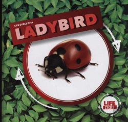 Bertrand.pt - Ladybird