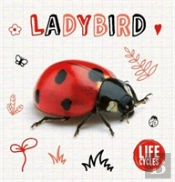 Ladybird