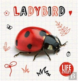 Bertrand.pt - Ladybird