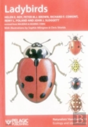 Ladybirds