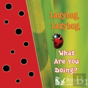 Ladybug, Ladybug, What Are You Doing?