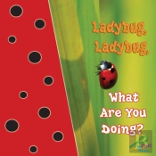 Ladybug, Ladybug, What Are You Doing?