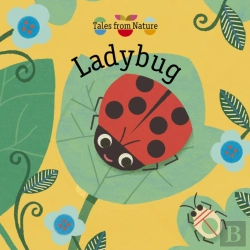 Bertrand.pt - Ladybug