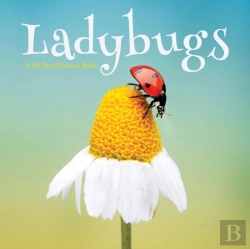 Bertrand.pt - Ladybugs, A No Text Picture Book
