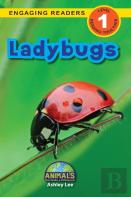 Ladybugs