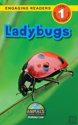 Bertrand.pt - Ladybugs
