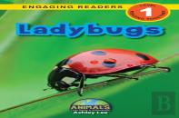 Ladybugs