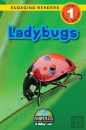 Ladybugs