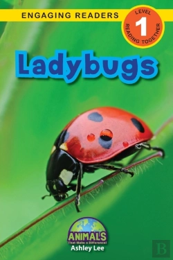 Bertrand.pt - Ladybugs