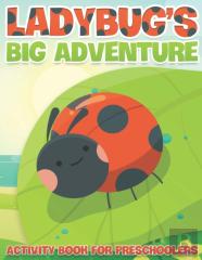 Ladybug'S Big Adventure