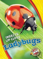 Ladybugs