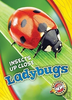 Bertrand.pt - Ladybugs