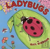 Ladybugs