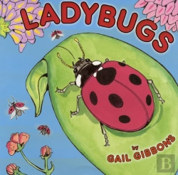 Bertrand.pt - Ladybugs