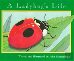 Bertrand.pt - Ladybugs Life A