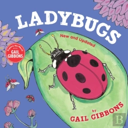 Bertrand.pt - Ladybugs (New & Updated)