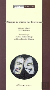 L'Afrique Au Miroir Des Litteratures