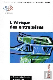 L'Afrique Des Entreprises