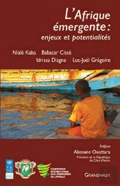 L'Afrique Emergente : Enjeux Et Potentialites