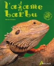 L'Agame Barbu