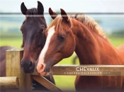L'Agenda-Calendrier Chevaux 2017
