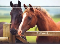Bertrand.pt - L'Agenda-Calendrier Chevaux 2017