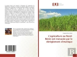 Bertrand.pt - L'Agriculture Au Nord-Benin Est Menacee Par Le Dereglement Climatique