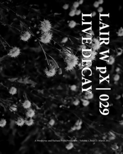 Bertrand.pt - Lair W Px | 029 Live Decay