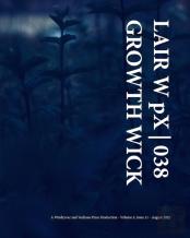 Lair W Px 038 Growth Wick