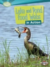 Lake And Pond Food Webs In Action