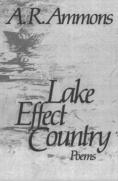 Lake Effect Country