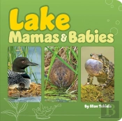 Lake Mamas And Babies
