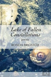 Lake Of Fallen Constellations