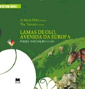 Lamas de Olo, Avenidas da Europa