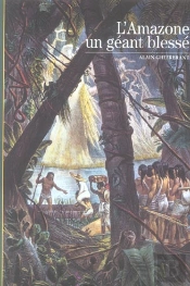 L'Amazone, Un Géant Blessé