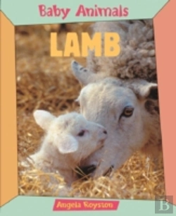 Bertrand.pt - Lamb