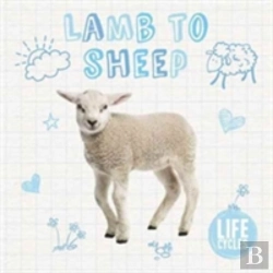 Bertrand.pt - Lamb To Sheep